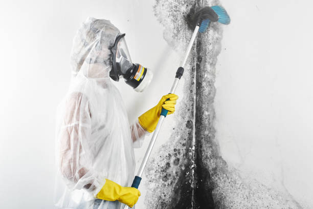 Dehumidification Services in Garfield Heights, OH