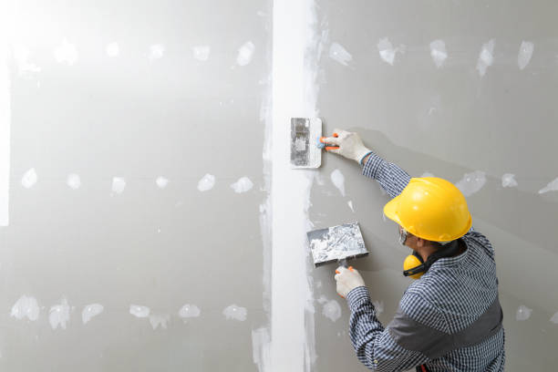 Best Mold Damage Restoration  in Garfield Heights, OH