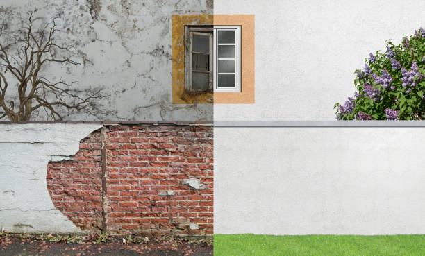 Best Emergency Mold Remediation  in Garfield Heights, OH