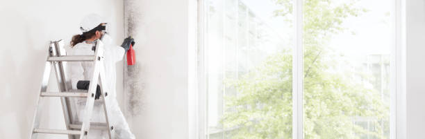 Best Real Estate Mold Inspection  in Garfield Heights, OH