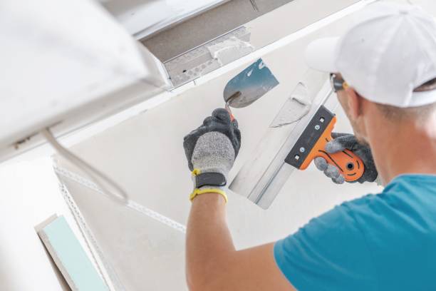 Best Mold Remediation for Vacation Homes  in Garfield Heights, OH